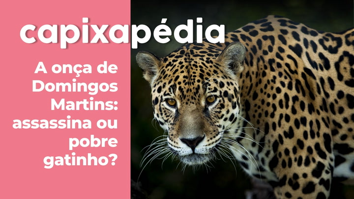 Thumbnail - No começo dos anos 2000, um assassinato na Zona Rural de Domingos Martins era cercado de mistérios. A principal suspeita era de um ataque de onça-pintada. A investigação da polícia, entretanto, acabou revelando a verdadeira história. 