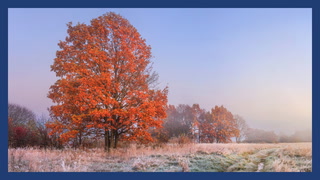 November Outlook: When can we expect winters arrival?