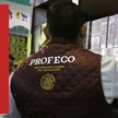 Oficina de Profeco en Tampico recibe quejas por cancelaciones de conciertos.