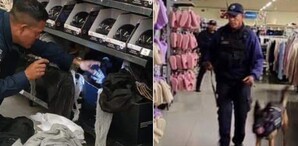 Amenaza de bomba en Walmart de Morelia, Michoacán | Especial