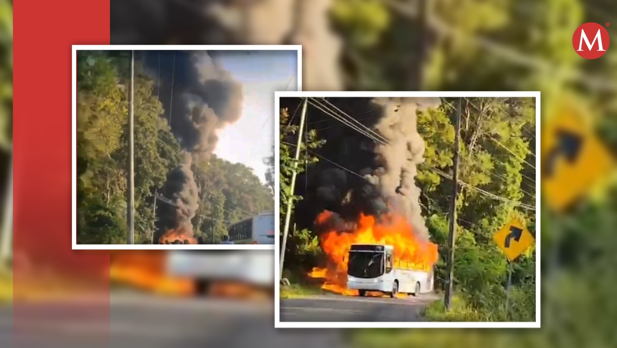 El incidente se registró en Paso del Macho- Atoyac. | Especial