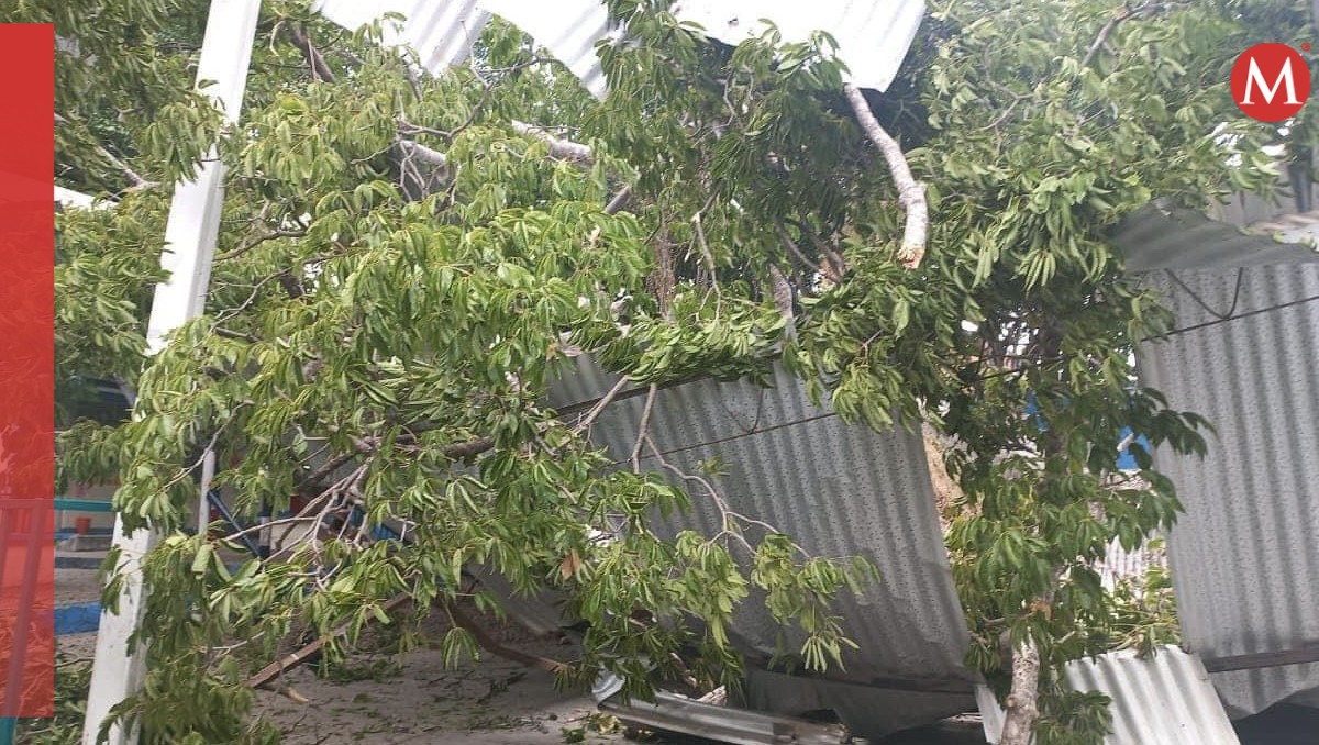 Los alumnos fueron evacuados luego de la caída de la estructura. | Especial