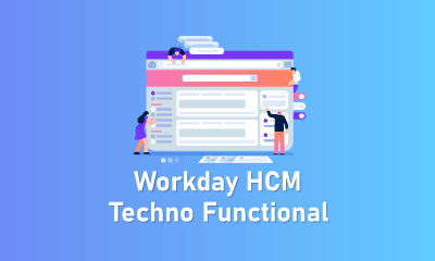 Workday HCM Techno Functional Training