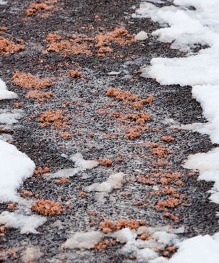 An icy path gritted for safe walking