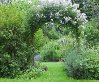 Garden arch