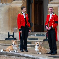 Queen Elizabeth's Corgis