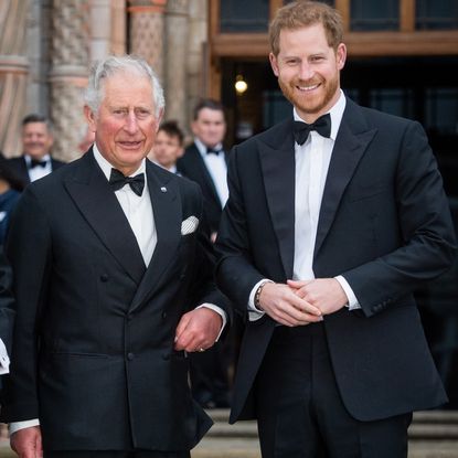 King Charles and Prince Harry at a royal engagement