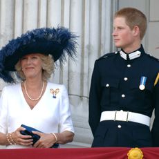 Queen Consort Camilla, Prince Harry