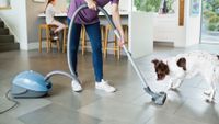 Dog chasing vacuum cleaner