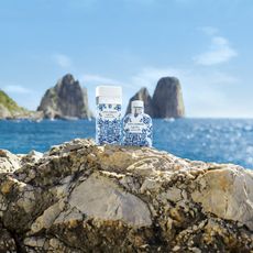 Two bottles of Dolce&Gabbana Light Blue Summer Vibes perfume sitting on a rocky cliff overlooking the sea.