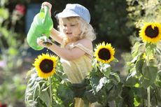 Best plants to grow with kids