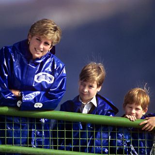 Princess Diana, Prince William, and Prince Harry