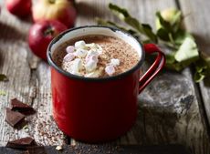 baileys hot chocolate recipe