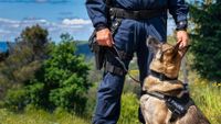 Police officer with his German Shepherd