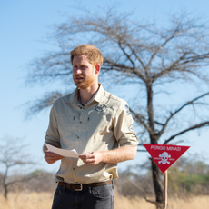 Prince Harry, Duke of Sussex walks through a minefield during a visit to see the work of landmine clearance charity the Halo Trust, on day five of the royal tour of Africa on September 27, 2019 in Dirico, Angola