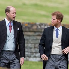 Prince William and Prince Harry