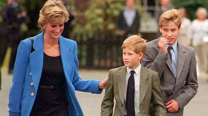 Princess Diana, Prince William, Prince Harry