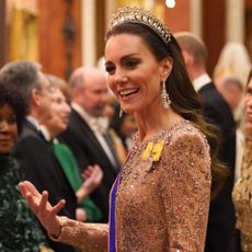 The Princess of Wales attends a reception for members of the Diplomatic Corps at Buckingham Palace