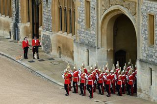 Corgis outside Windsor Castle