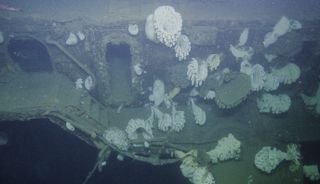 Researchers dive to the wreck of the WW II-era aircraft, the USS Independence.