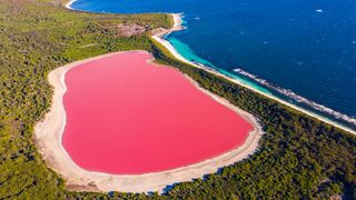 Pink lake aerial view on middle island surrounded blue ocean. Stark contrasting natural phenomenon in Western Australia.