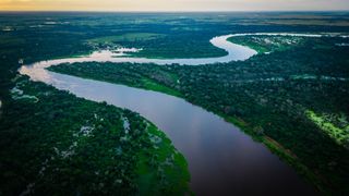 An aerial photo of a large river winding through a forest