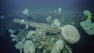 Researchers dive to the wreck of the WW II-era aircraft, the USS Independence.