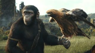 A young ape looking off to the side, while a hawk perches on his wrist, in Kingdom of the Planet of the Apes.