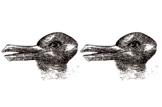 A black and white drawing of two animal heads next to one another. Depending on the angle, they resemble either ducks or rabbits