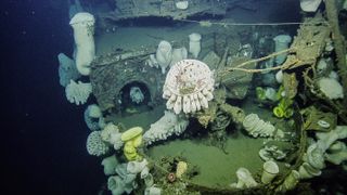 Researchers dive to the wreck of the WW II-era aircraft, the USS Independence.