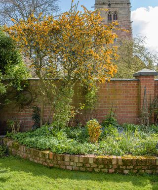 A curved, brick edged flower bed idea with green planting in front of a brick wall.