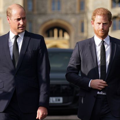 Prince William and Prince Harry