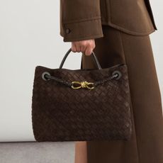 Net-a-porter New In Bottega Veneta bag