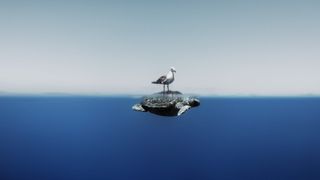 A seagull standing on the shell of a turtle