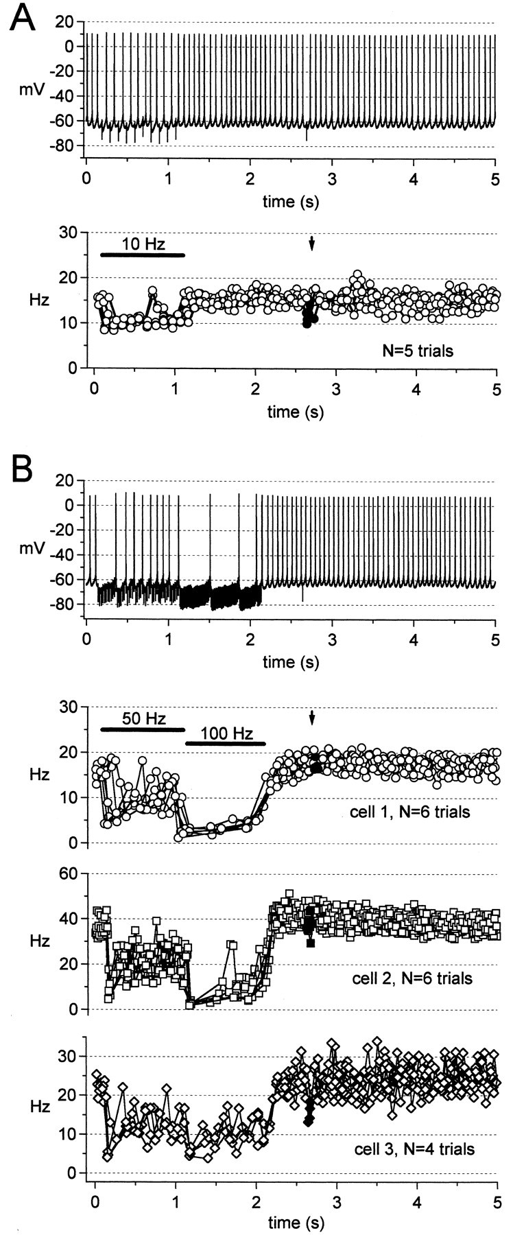 Fig. 8.