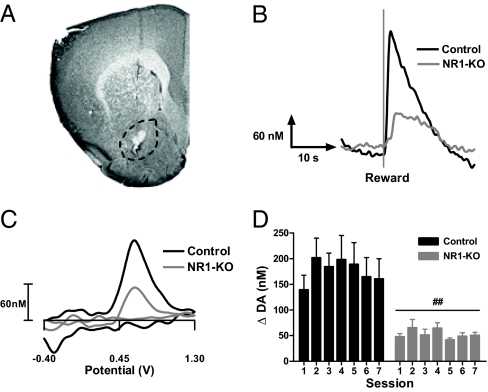 Fig. 5.