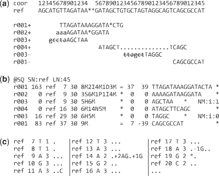 Fig. 1.