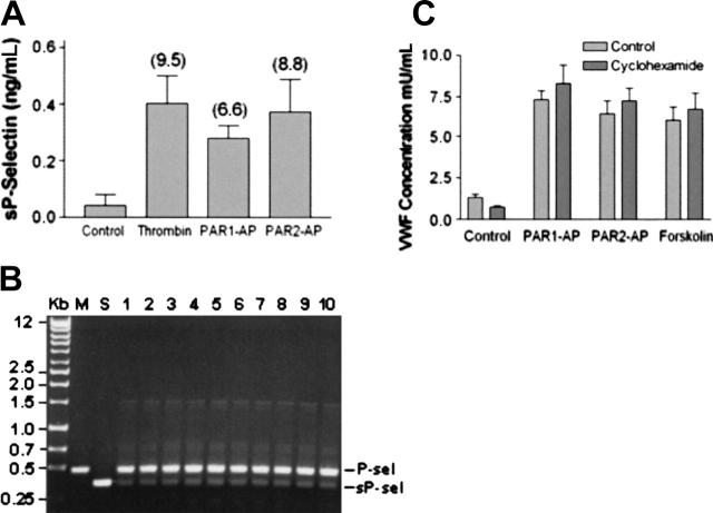 Figure 5.