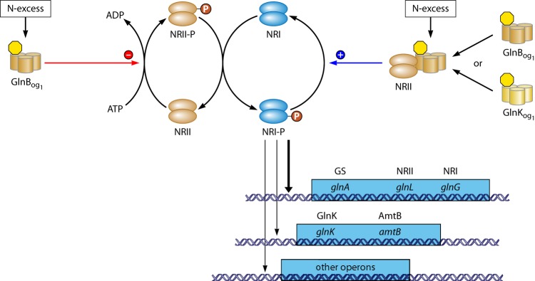 Fig 6