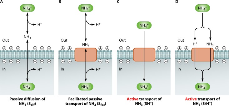 Fig 2