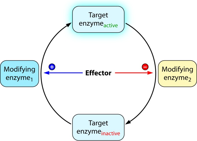 Fig 10