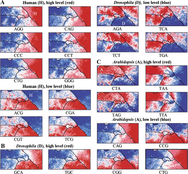 Figure 6.