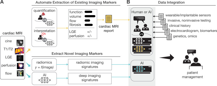 The impact of artificial intelligence (AI)–enabled cardiac MRI on the patient care pipeline. The diagram shows how AI impacts information extraction and flow at different steps. (A) AI facilitates and improves the analysis and interpretation of images by extracting standard cardiac MRI parameters. This reduces the analysis burden and improves the accuracy, precision, and reproducibility of analysis and interpretation. AI may also provide a new paradigm for gaining insights into cardiac MRI scans by extracting radiomic or deep imaging signatures of cardiac disease not currently being extracted. (B) AI enables the efficient combination of clinical, imaging, wearable device, biomarker, genetics, and “omics” data to provide clinically actionable information to improve patient care. LGE = late gadolinium enhancement.