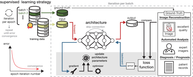 Diagram of supervised learning strategy for an artificial intelligence model. An architectural layer performs computational operations on data passing through it, with skip connections linking nonsequential layers. A forward pass transforms input into output. The output is compared with an ideal or correct ground truth. The task of the model (eg, image reconstruction, automated analysis, or clinical diagnosis) dictates the form of “ground truth,” which could be high-quality images, expert annotations, or patient records. The loss function quantifies the discrepancy between the output and the ground truth, converting the disagreement into an error signal. The backward pass propagates the error back through the model. This is accomplished by calculating gradients, which represent the direction and rate of change of the error, and selecting an optimizer, which determines how the architecture parameters are updated based on these gradients. This process reduces the error over time. An epoch is one full pass over the training data set, with the architecture trained across many epochs until error convergence is achieved.