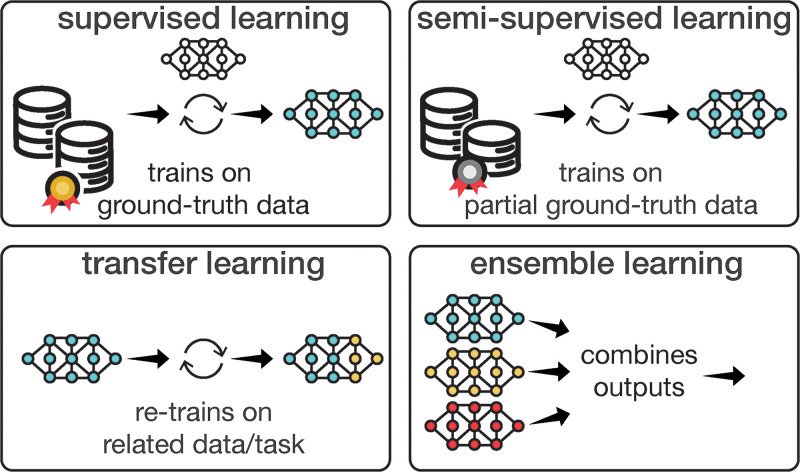 Diagram of common learning strategies for artificial intelligence models. Supervised learning trains models on input-output relationships using “ground truth” as a reference to guide the learning process. Semisupervised learning, with partial or imperfect ground truth, is effective where only partial supervision is feasible. Transfer learning refines a preexisting model using related data or tasks, saving time and computational resources compared with starting from scratch. Ensemble learning combines outputs from multiple uniquely trained models, reducing error risks and enhancing model robustness for more reliable, accurate predictions.