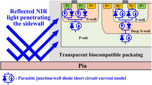 Fig. 2.