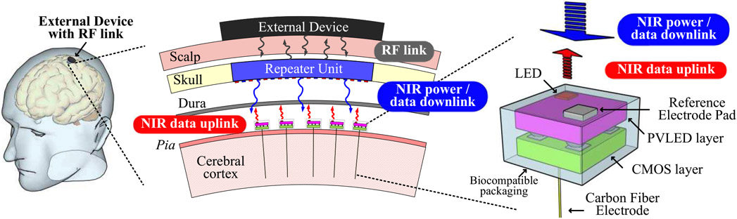 Fig. 1.