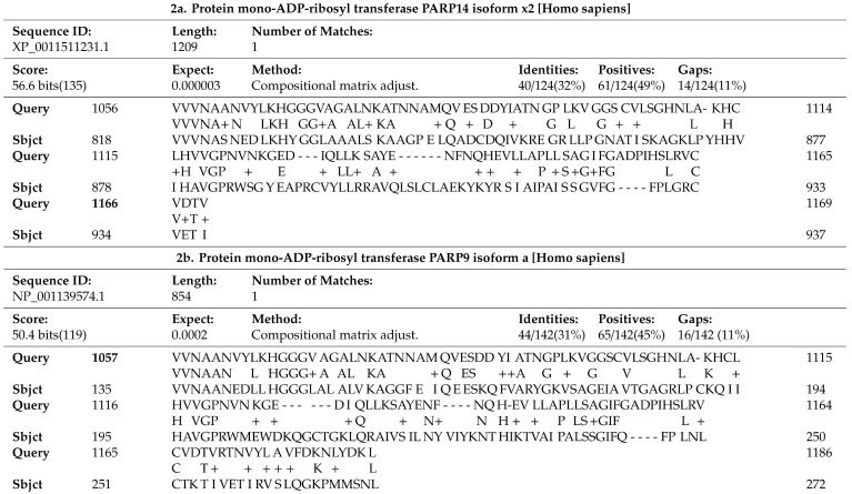 graphic file with name brainsci-10-00807-i001.jpg