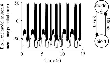 FIGURE 4