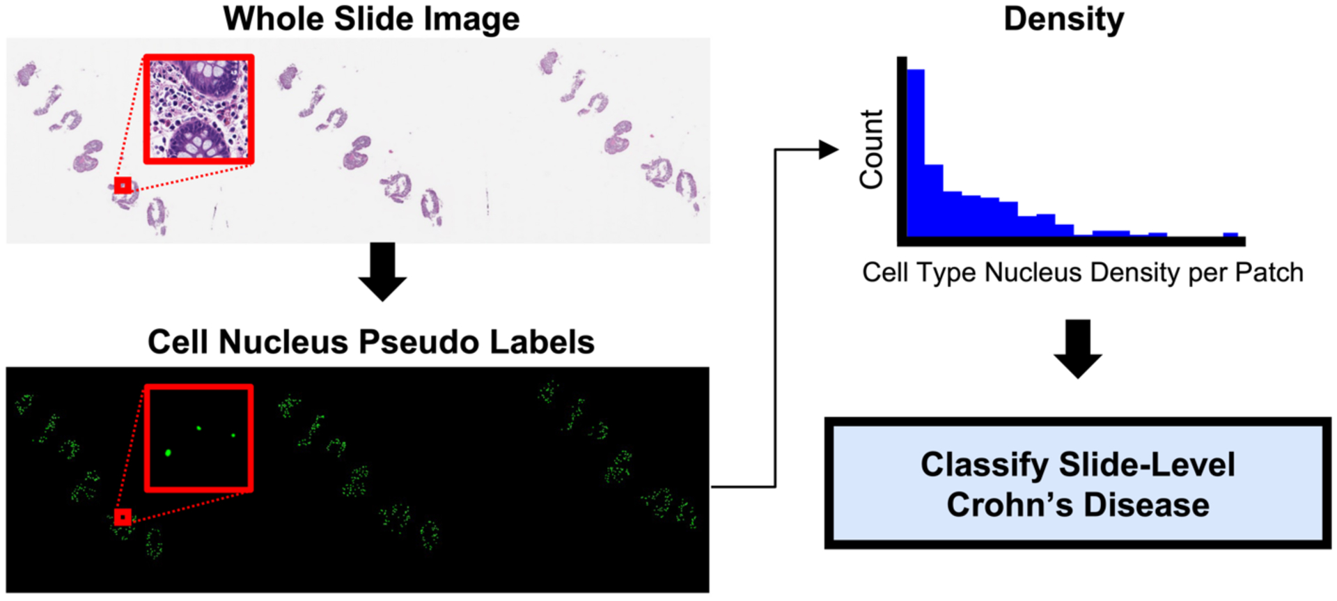 Figure 1.